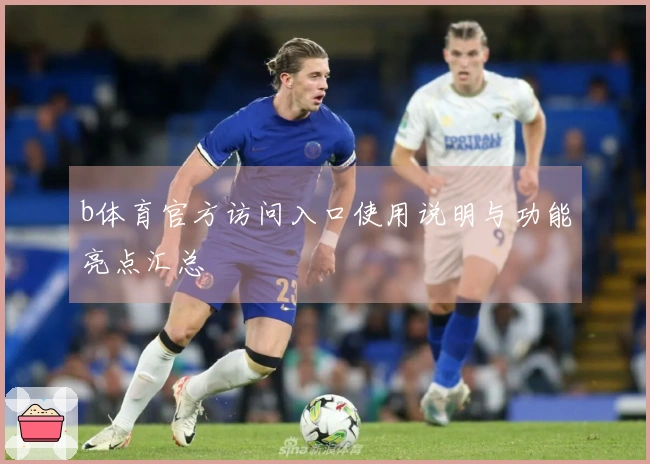 b体育官方访问入口使用说明与功能亮点汇总