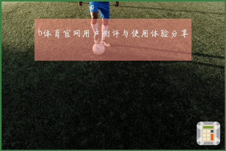b体育官网用户测评与使用体验分享