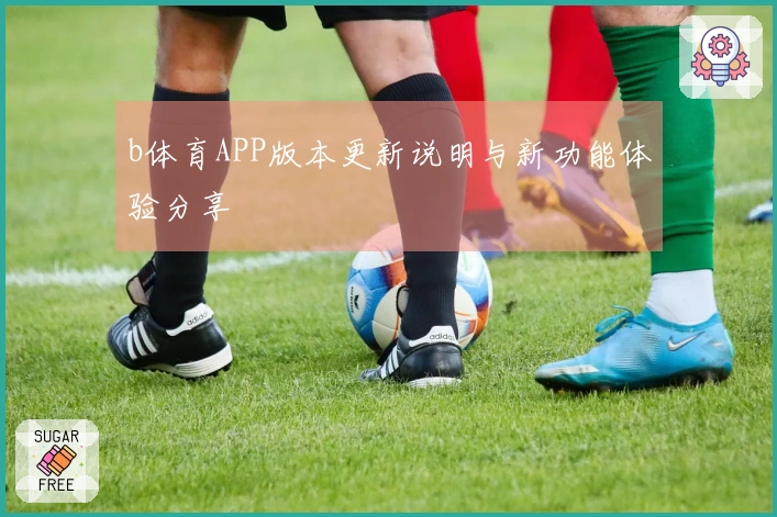 b体育APP版本更新说明与新功能体验分享