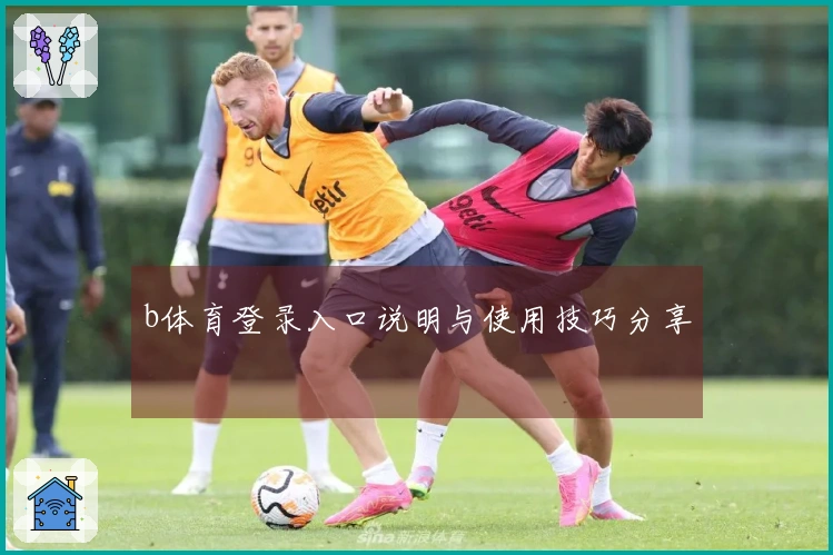 b体育登录入口说明与使用技巧分享