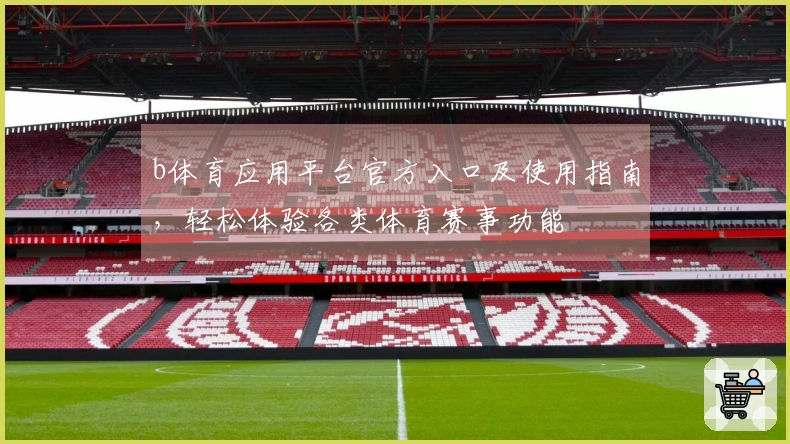 b体育应用平台官方入口及使用指南，轻松体验各类体育赛事功能
