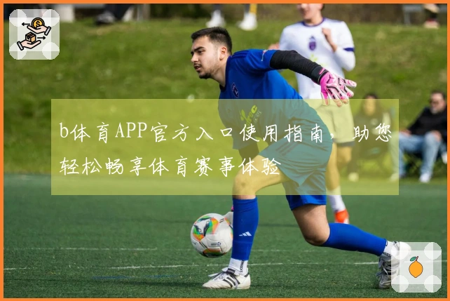 b体育APP官方入口使用指南，助您轻松畅享体育赛事体验